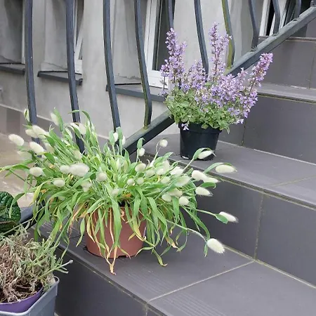 Skalka 3* Władysławowo