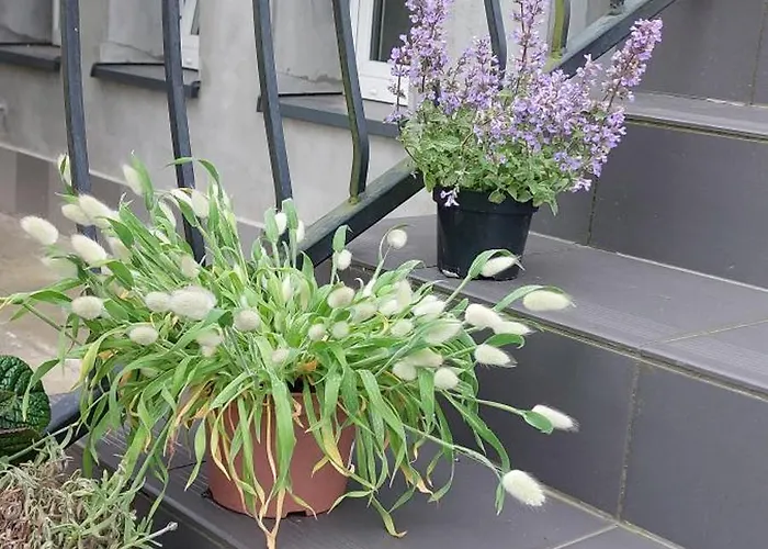 Skalka 3* Władysławowo